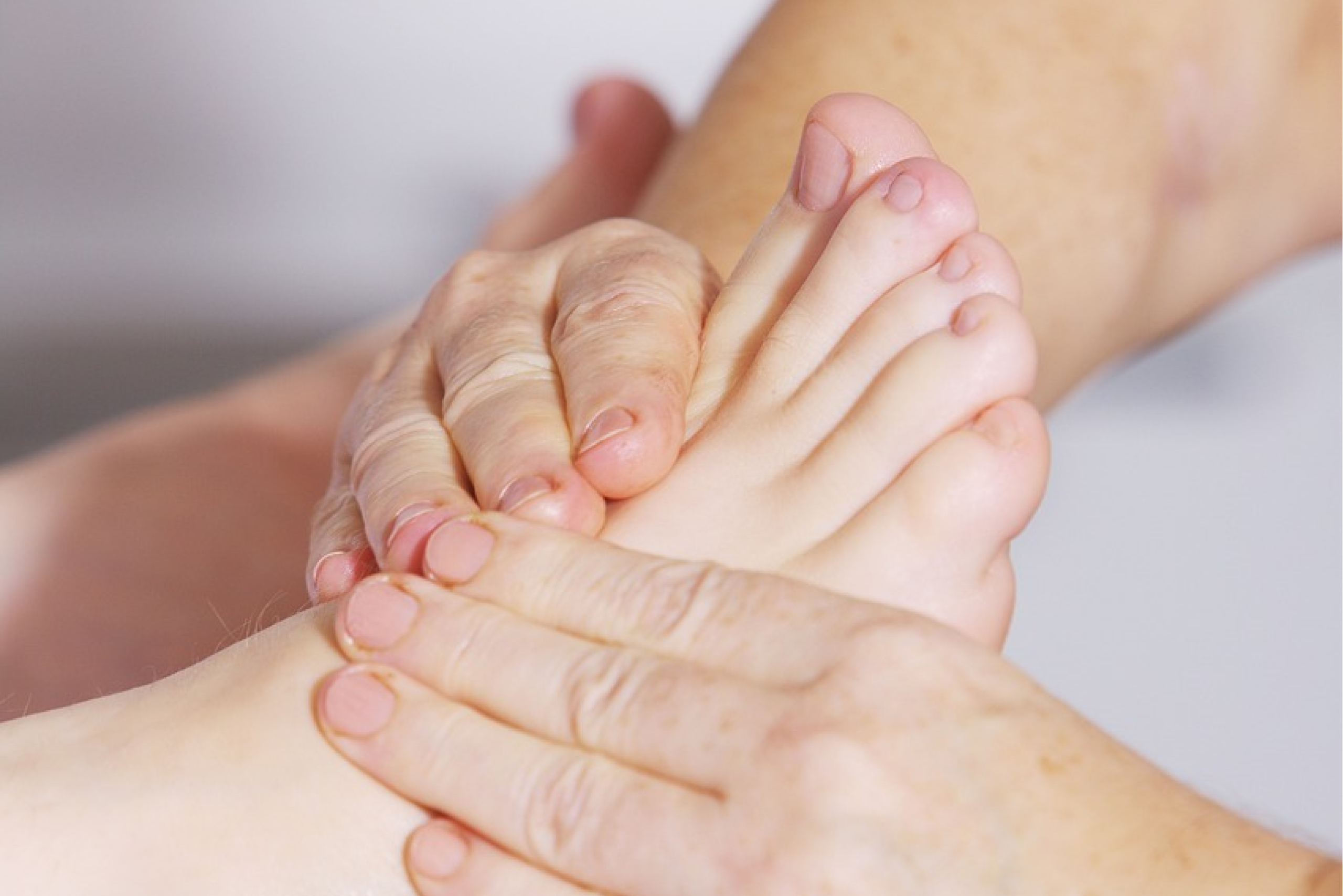 Image 3 de la gallerie photo du projet