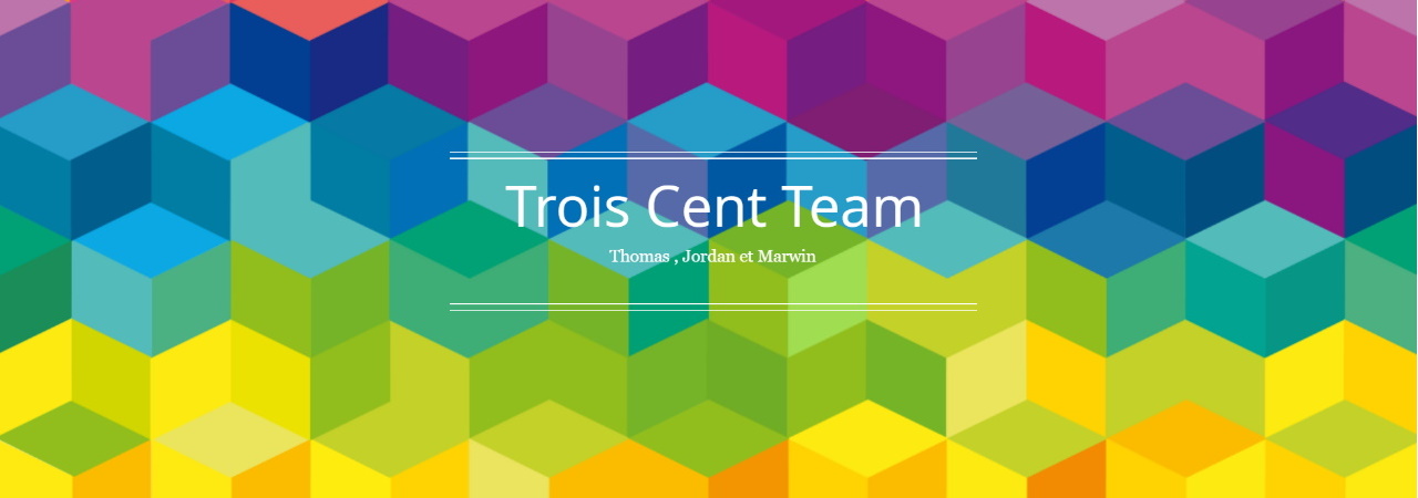 Site de présentation d'un groupe de 3 élèves